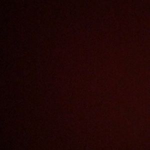 Meet your Posher, Angelina